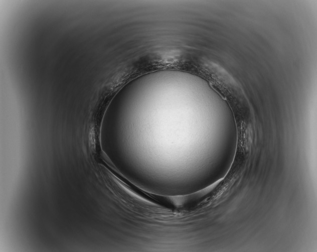 X0000097880562200803211336