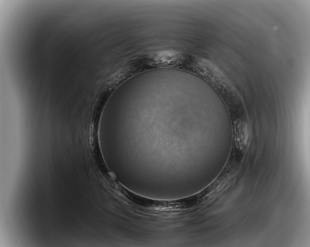 X0000097880563200803211336