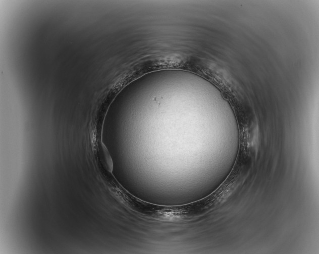 X0000097880564200803211336