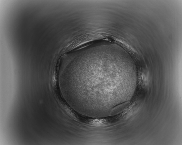 X0000097880566200803211336