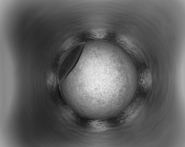 X0000097880568200803211336