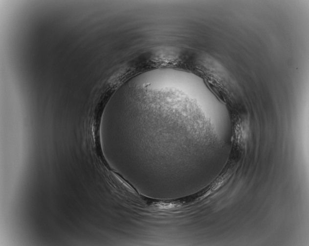 X0000097880570200803211336