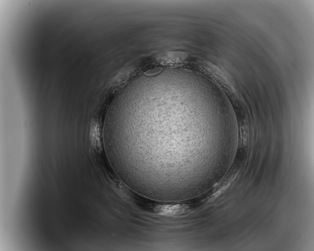 X0000097880575200803211336
