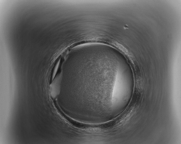 X0000097880577200803211336