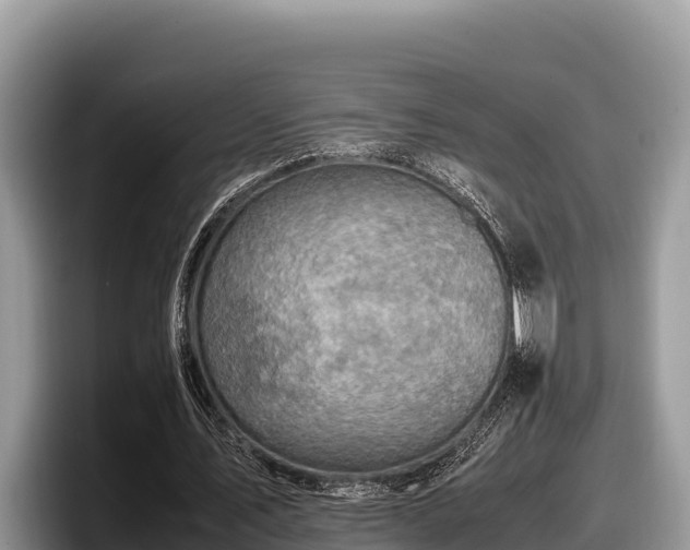 X0000097880579200803211336