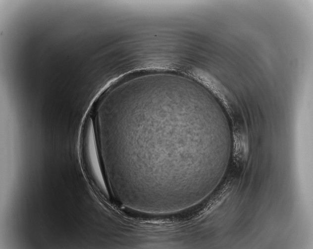 X0000097880580200803211336
