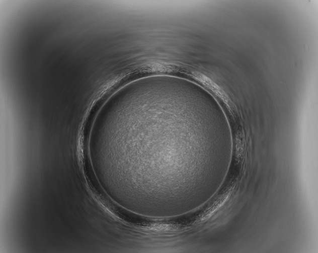 X0000097880581200803211336