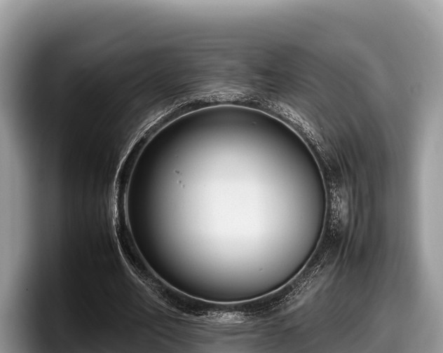 X0000097880582200803211336