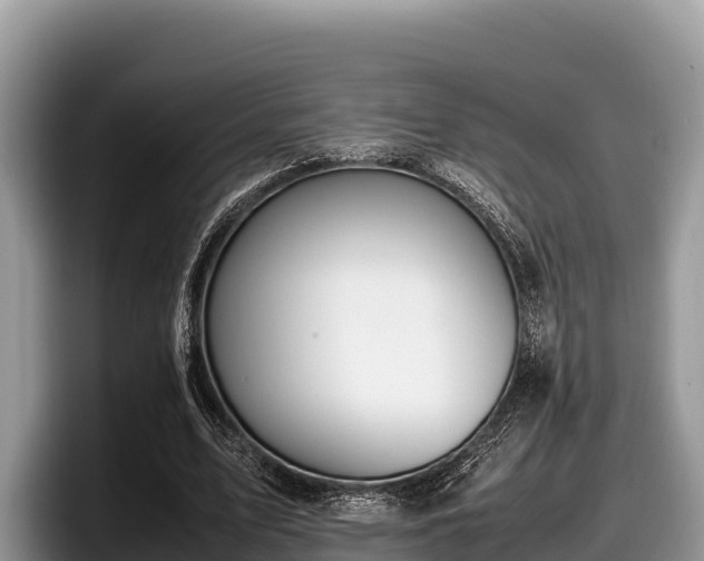 X0000097880583200803211336