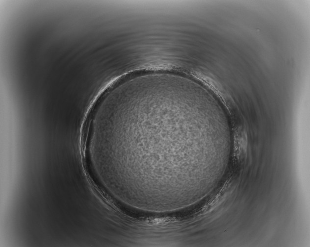 X0000097880584200803211336