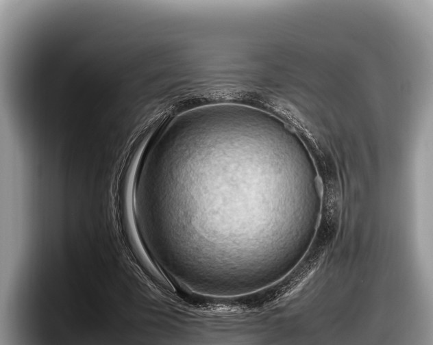 X0000097880585200803211336