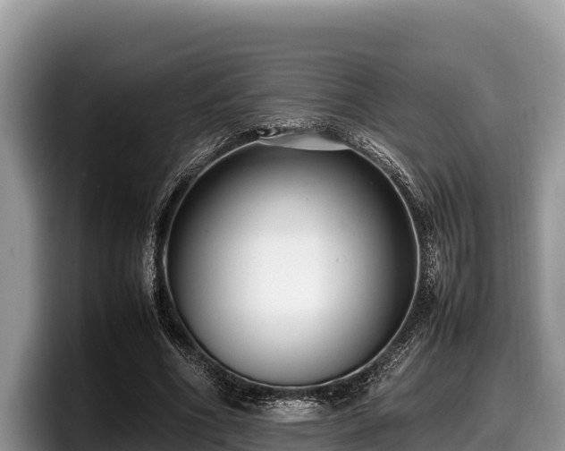X0000097880586200803211336