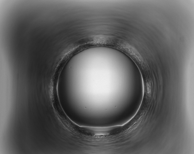 X0000097880588200803211336
