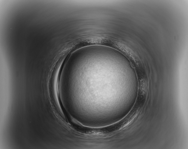 X0000097880589200803211336