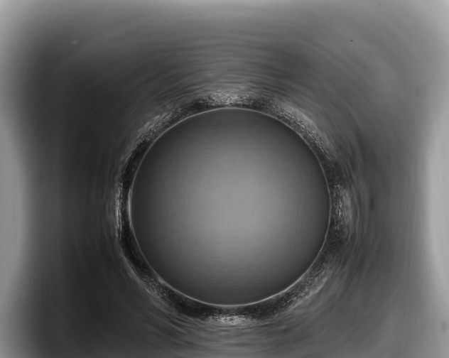 X0000097880590200803211336