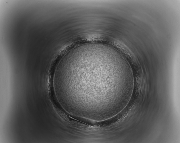 X0000097880592200803211336
