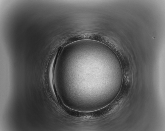 X0000097880593200803211336