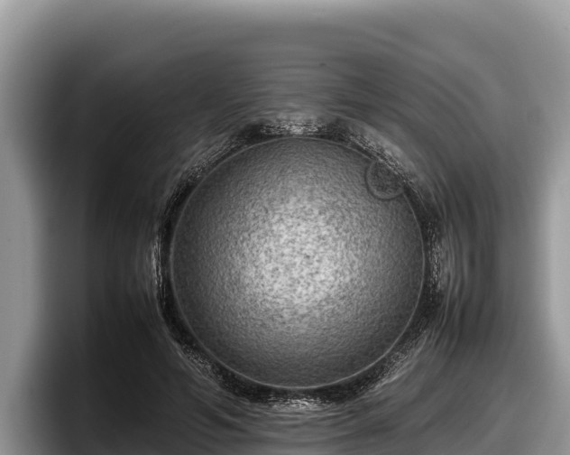 X0000097880594200803211336