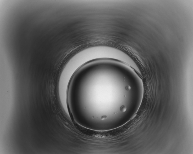 X0000097880596200803211336