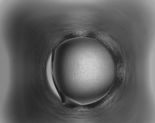 X0000097880597200803211336