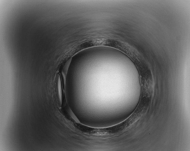 X0000097880601200803211336