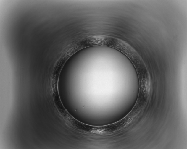 X0000097880602200803211336