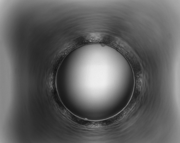 X0000097880604200803211336