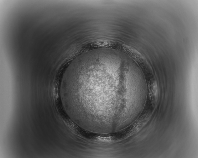 X0000097880606200803211335