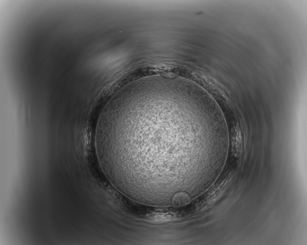 X0000097880608200803211335
