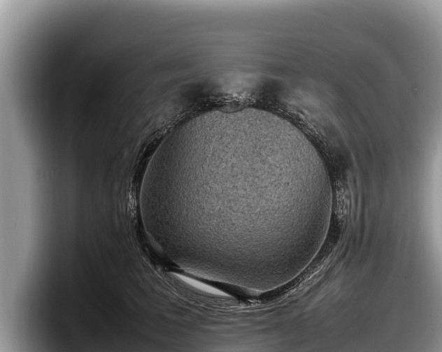 X0000097880613200803211335