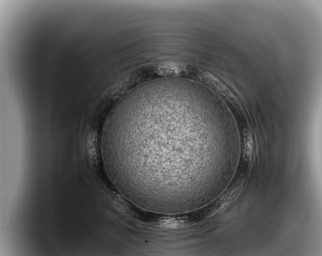 X0000097880616200803211335