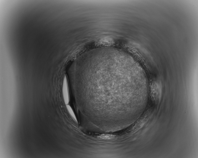 X0000097880617200803211335