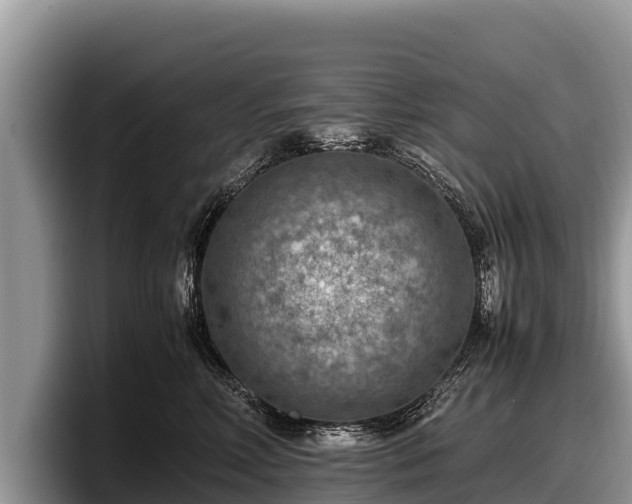 X0000097880618200803211335