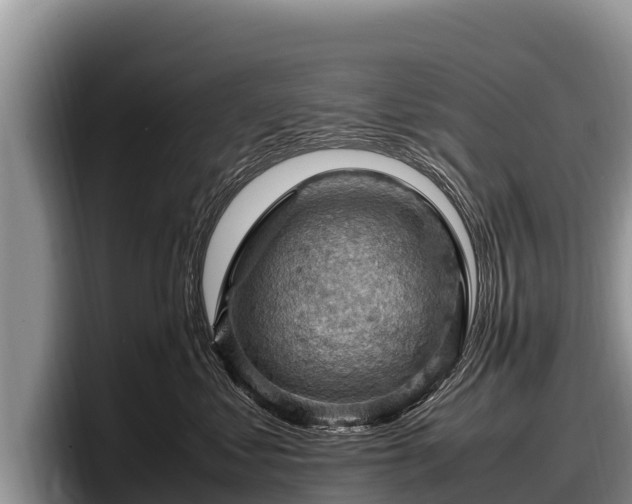 X0000097880621200803211335