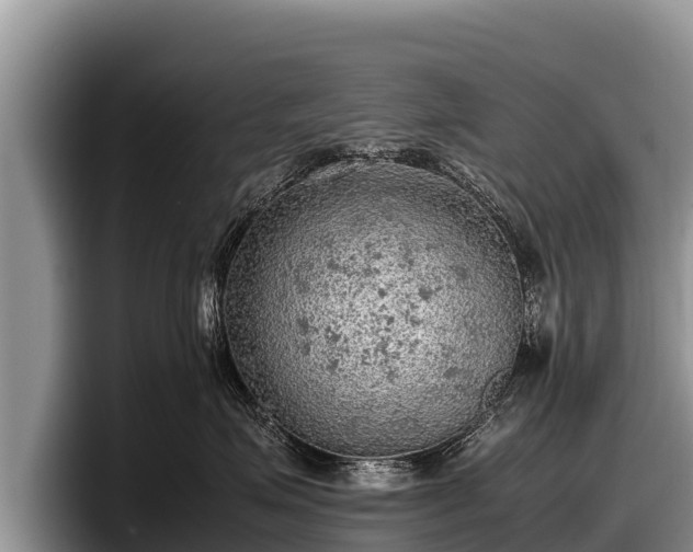 X0000097880623200803211335