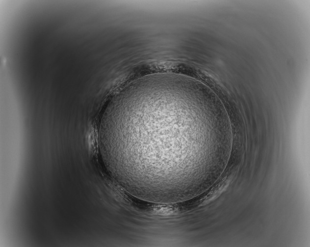 X0000097880624200803211335
