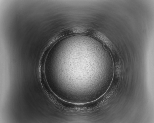 X0000097880626200803211335