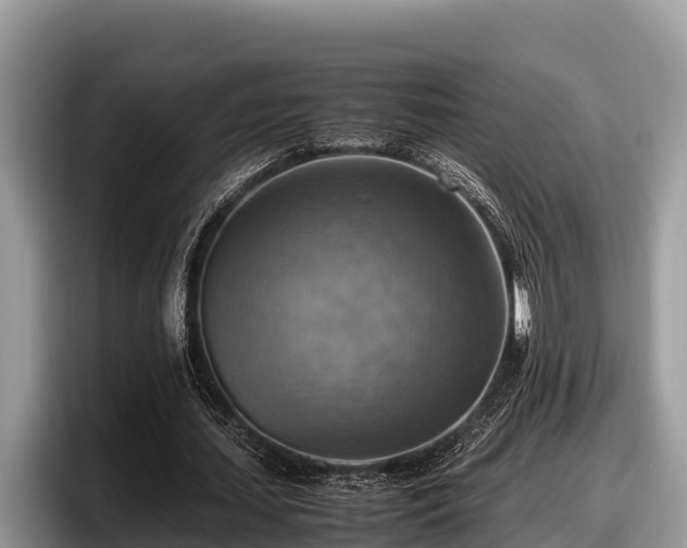 X0000097880627200803211335
