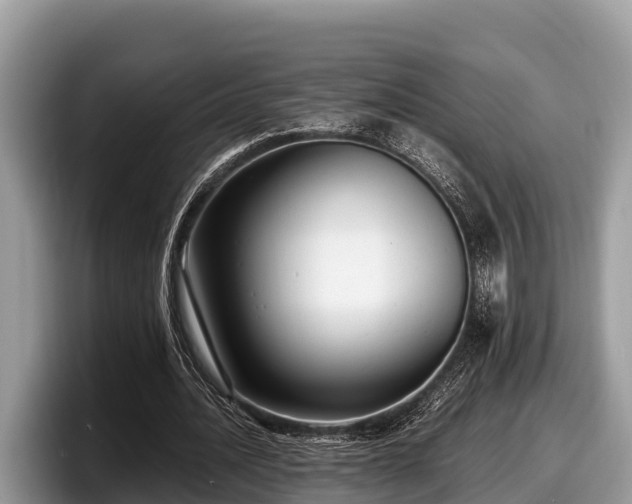 X0000097880628200803211335