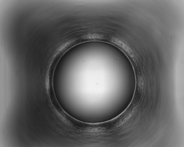 X0000097880629200803211335
