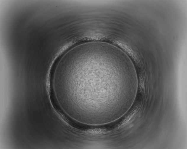 X0000097880630200803211335