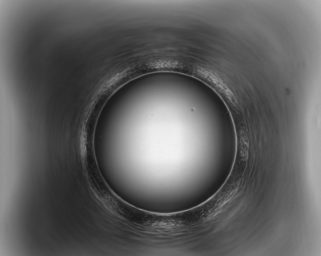 X0000097880631200803211335