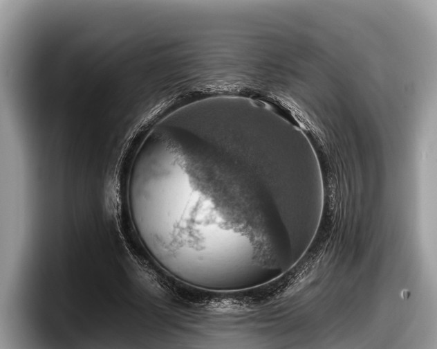 X0000097880634200803211335