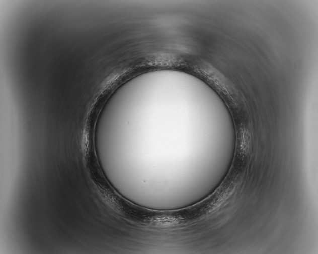 X0000097880636200803211335