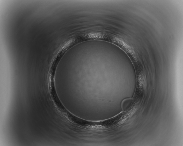 X0000097880637200803211335