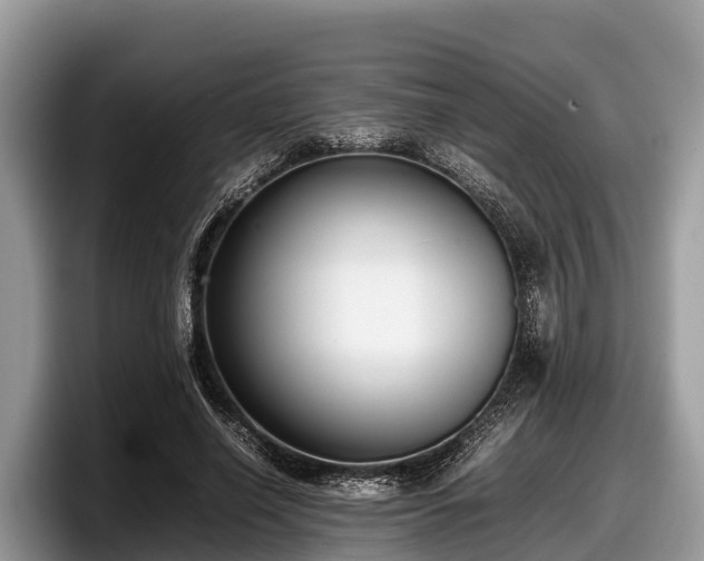 X0000097880638200803211335