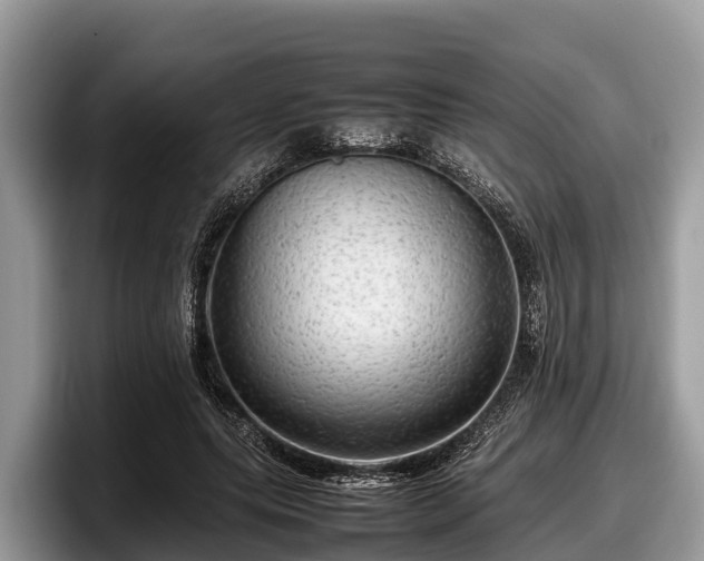 X0000097880639200803211335