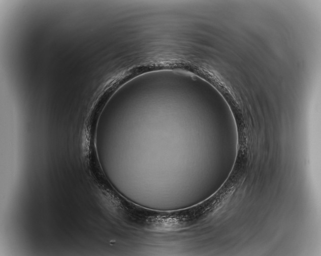 X0000097880640200803211335