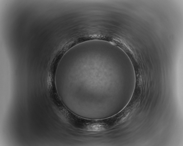 X0000097880643200803211335