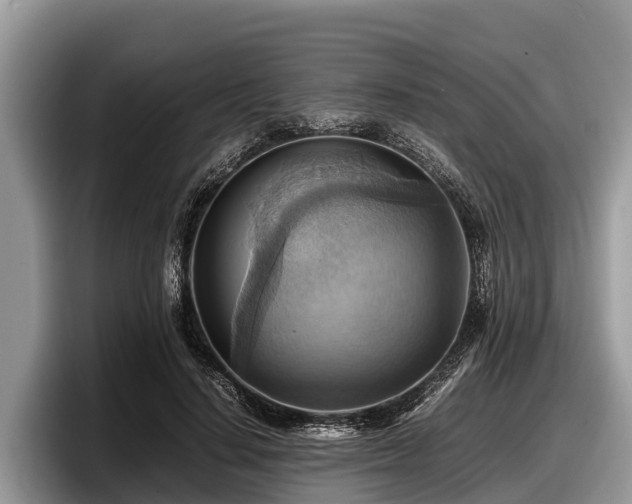 X0000097880644200803211335